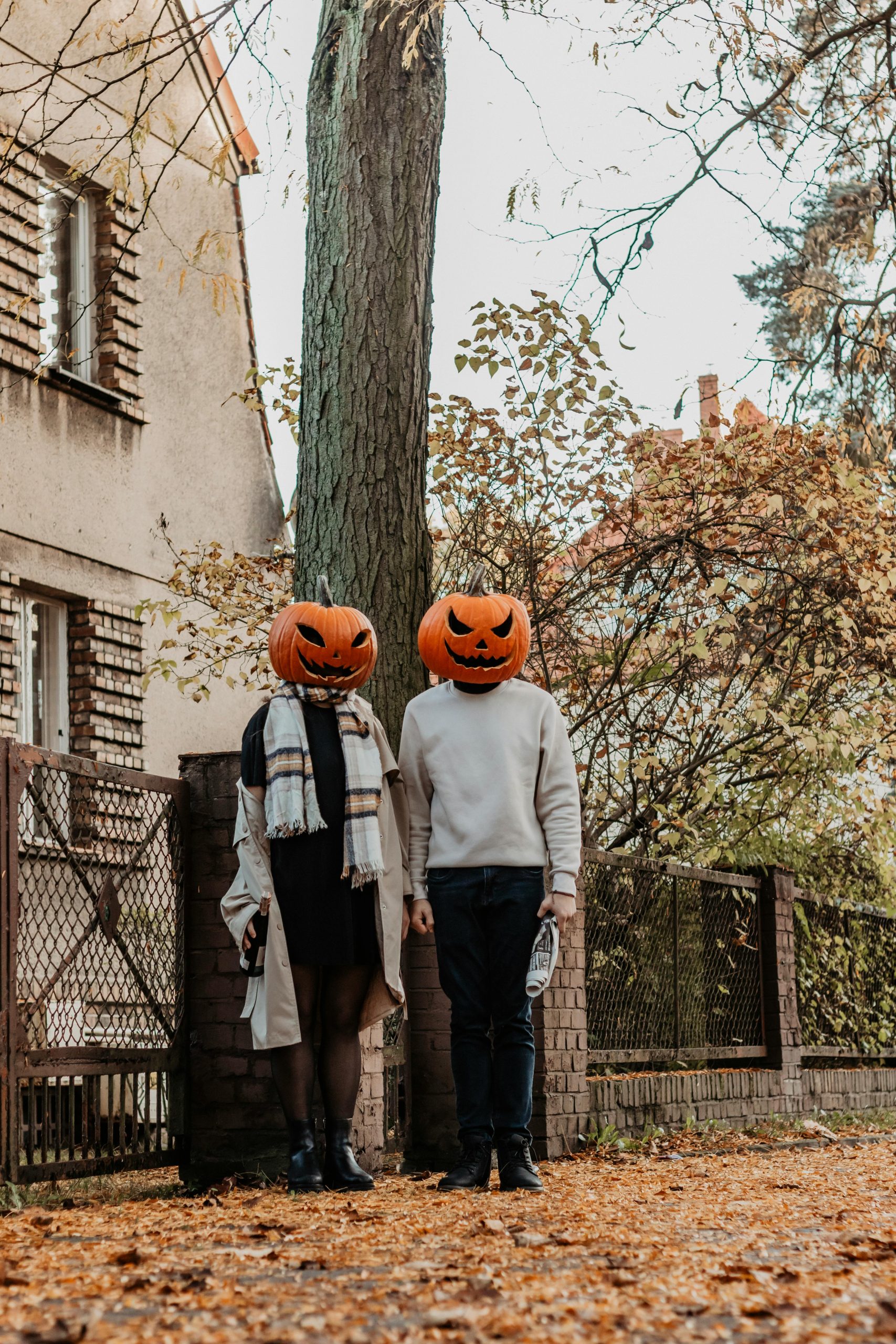 pexels-katia-miasoed-624959709-18261095